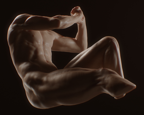 The Fallen Angel Interpretive Anatomy Study by Nova Bower