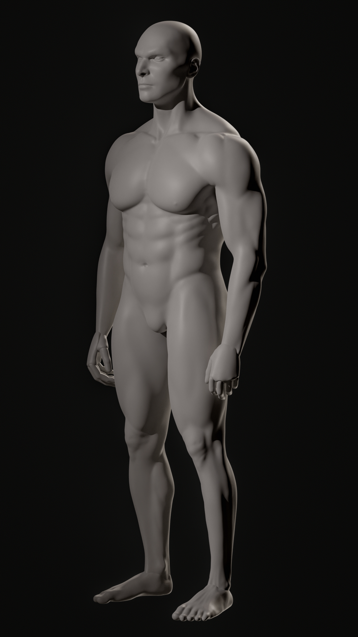 Muscular Man Realistic Anatomy Study