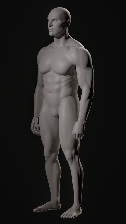 Muscular Man Realistic Anatomy Study Front