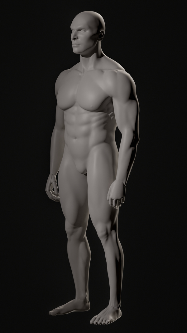 Muscular Man Realistic Anatomy Study