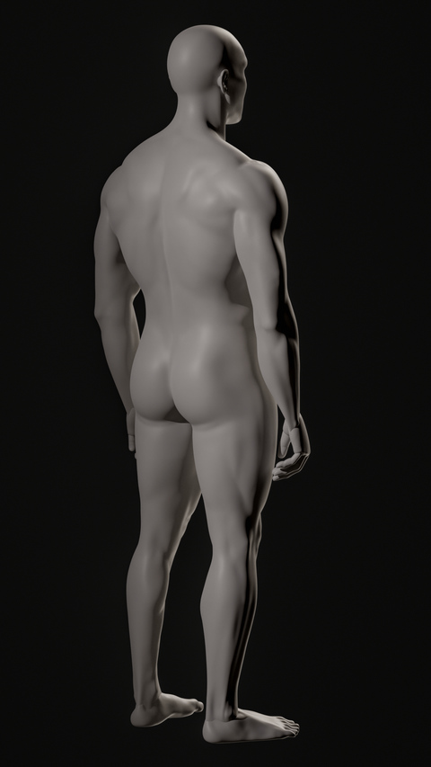 Muscular Man Realistic Anatomy Study Back