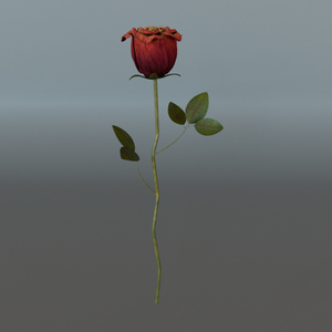 Realistic Rose Textured Model by Nova Bower