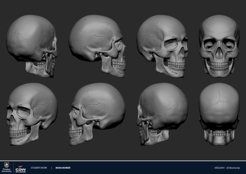 Realistic Anatomical Skull Sculpt by Nova Bower