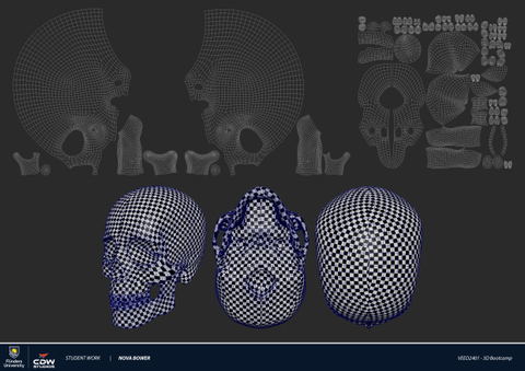 Realistic Anatomical Skull Model UV Unwrapped by Nova Bower