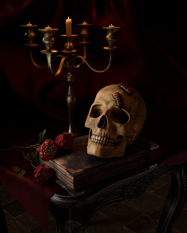 Still Life Environment Art Realism Scene by Nova Bower